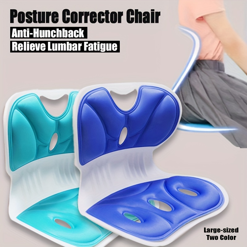 Posture Corrector Chair Ergonomic Back Lumbar Hip Support Office Chair  Cushion Student Sitting Cushion Chair Waist Protector Chair Fitness  Accessories - Temu