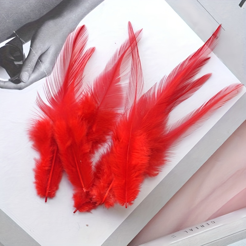 10PCS/Pack Rooster Tail Feathers Bulk Natural 12-14Inch 30-35cm