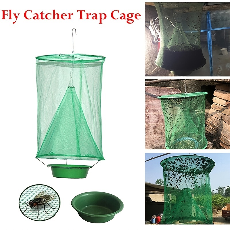 Indoor Fly Trap - Monterey Lawn & Garden