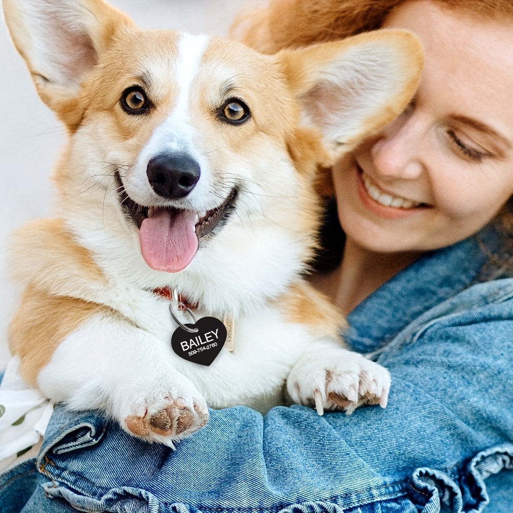 Targhetta Cani Personalizzata Targhetta Cani Incisione In - Temu