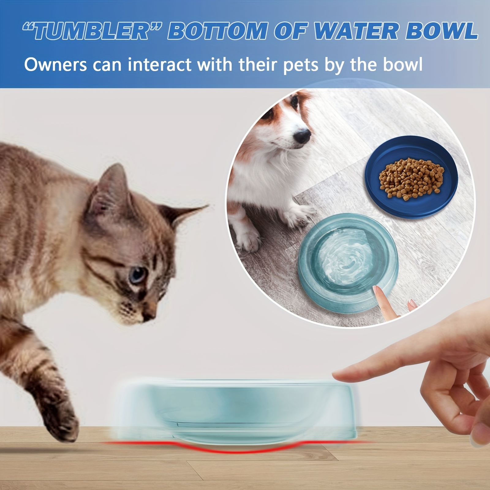 Pet Water Bowl For Dogs Rainbow Pet Bowl Interactive Tumble Pet Bowl  Transparent Travel Little Dog Bowl With Lid Divided Into Two Bowls Dog Water  And Food Bowl - Temu