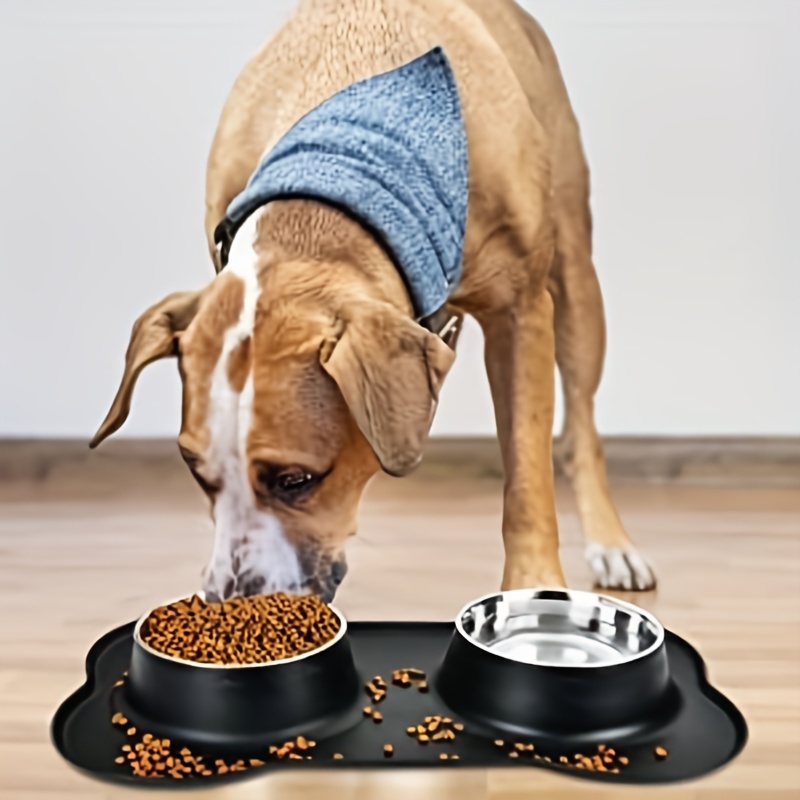 Antislip Double Dog Bowl With Silicone Mat Durable Stainless Steel