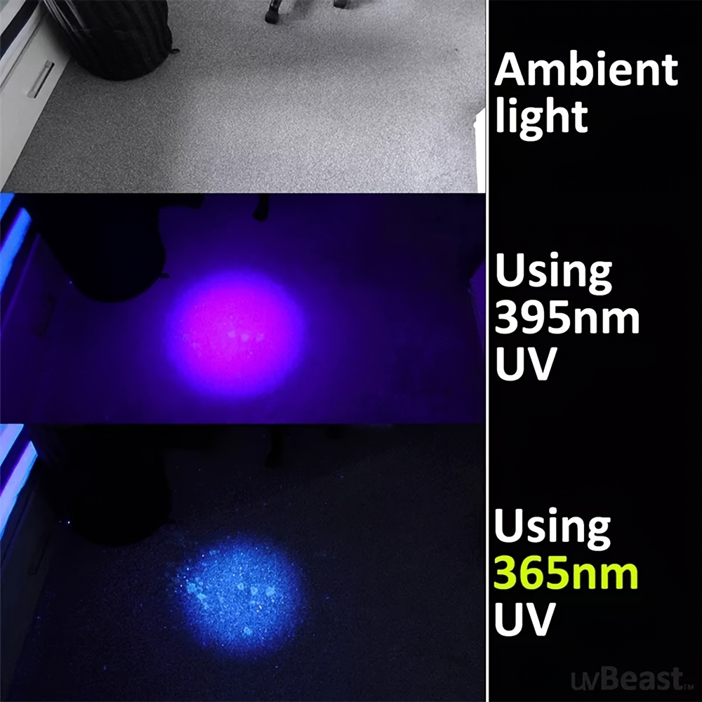 GRABOYY Linterna UV recargable de 365 nm, luz ultravioleta profesional de  10 W, mini linterna portátil para detección de orina de mascotas, rocas