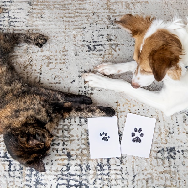 Memorializza Il Tuo Amato Animale Domestico Con Il Nostro Tampone