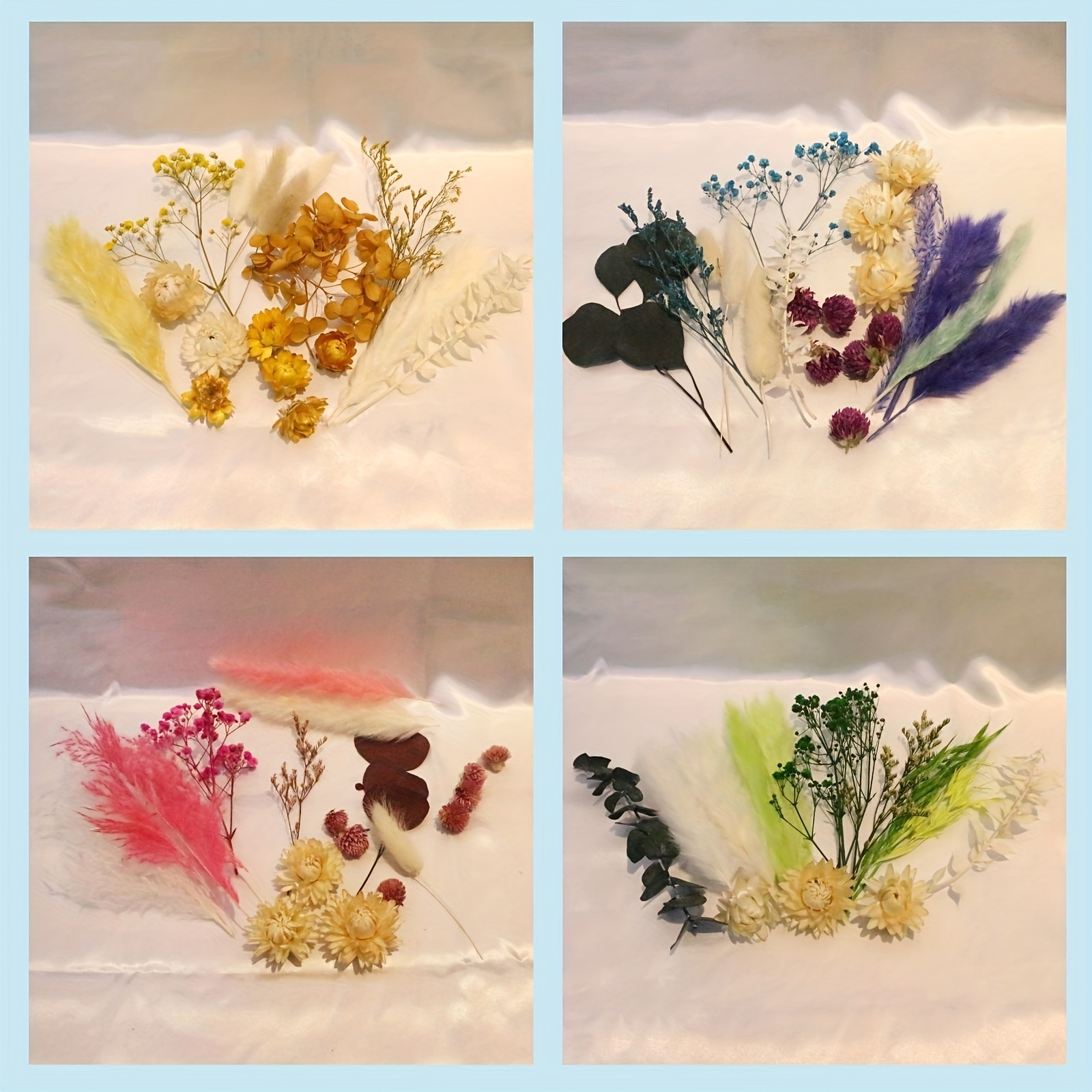  TJLSS 1 bolsa de flores secas coloridas pequeñas plantas  florales naturales, decoración del hogar, accesorios de fotografía,  manualidades (color B : Hogar y Cocina