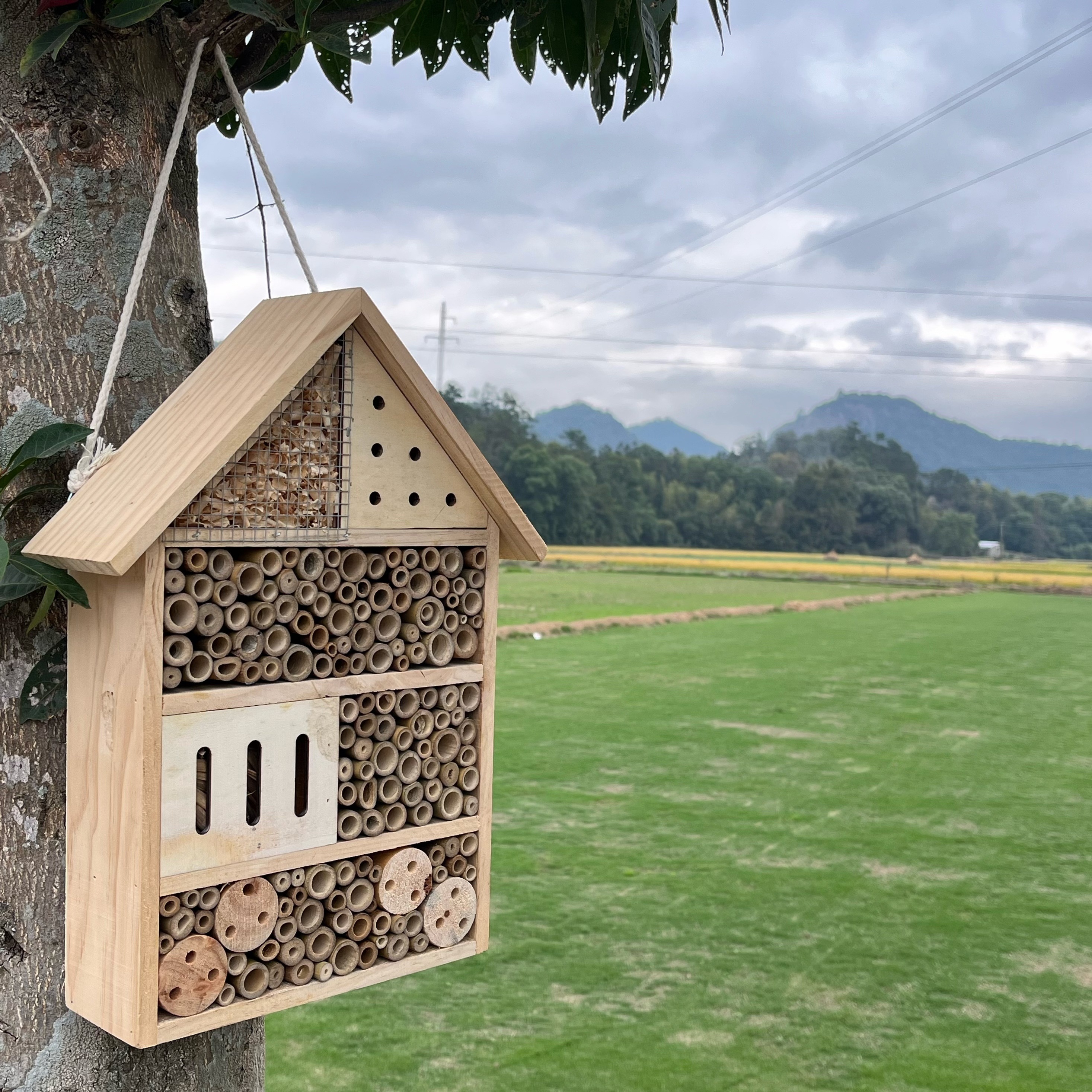 Hotel per insetti e casetta per uccelli