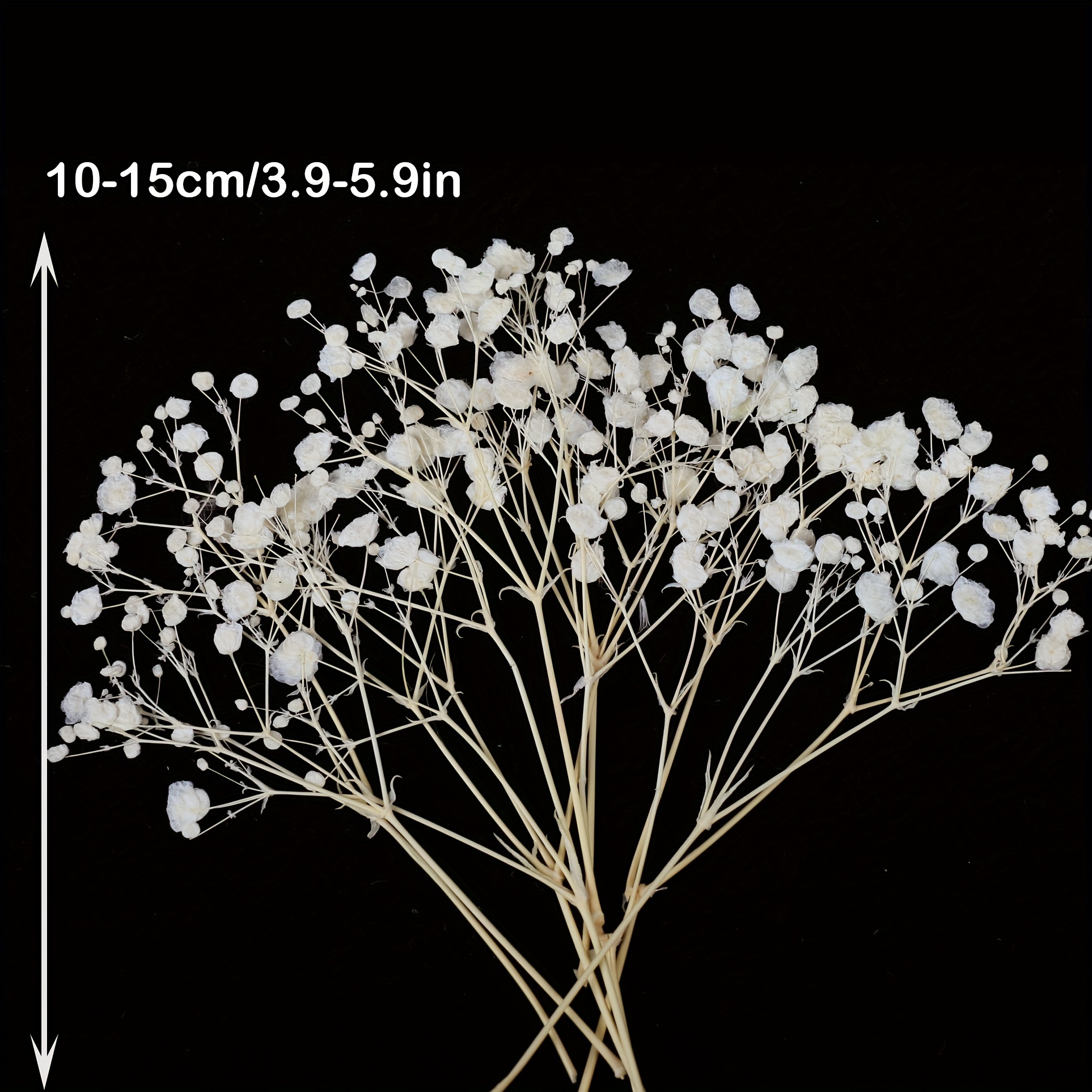 100 Pcs Dried Babys Breath Flowers Bulk Dried Flowers Natural Gypsophila  Branches for Card Making Resin Art DIY Craft Gifts Wrap Pressed Gypsophila  Mixed Color Dried Baby's Breath Flowers