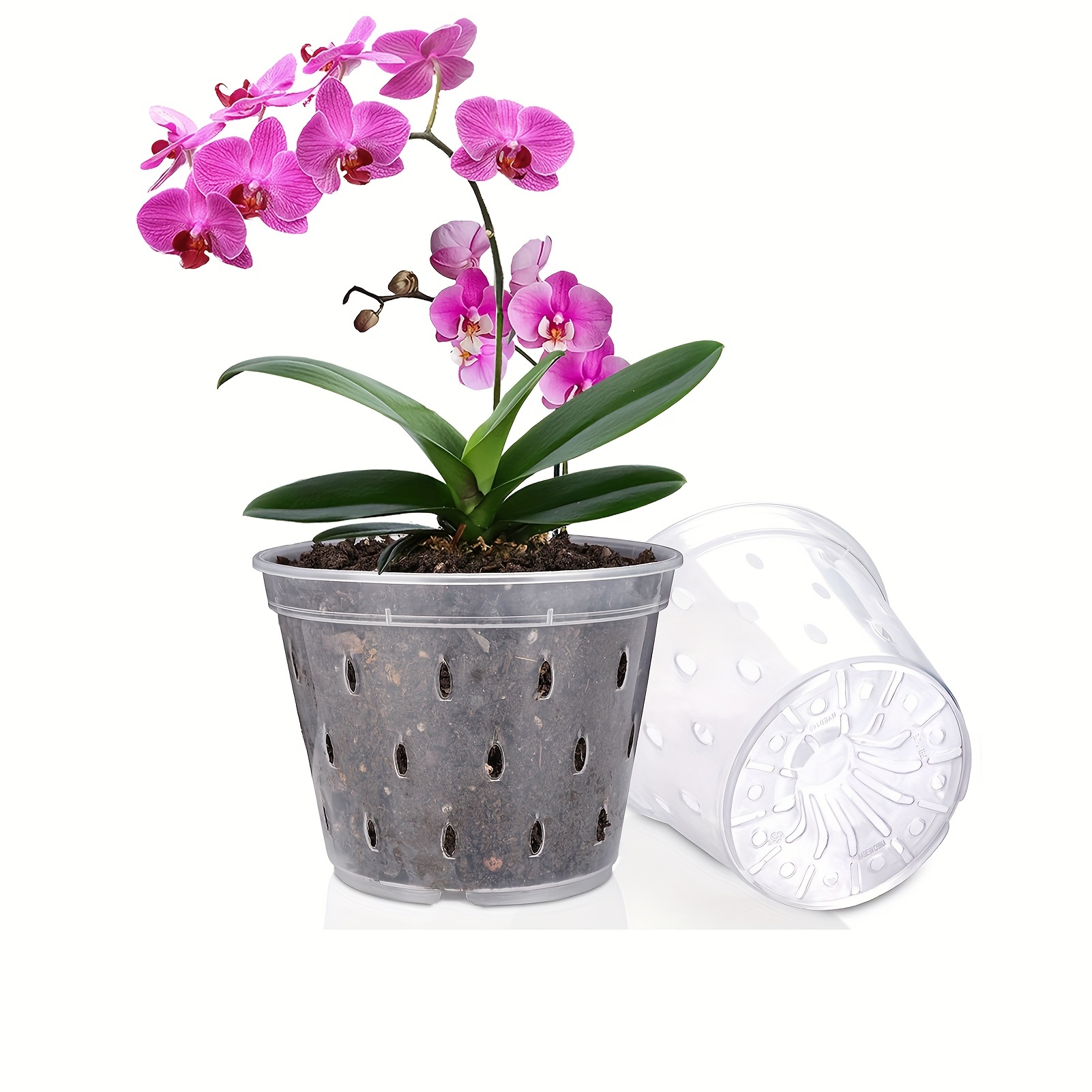 L'importance du pot en plastique de l'orchidée