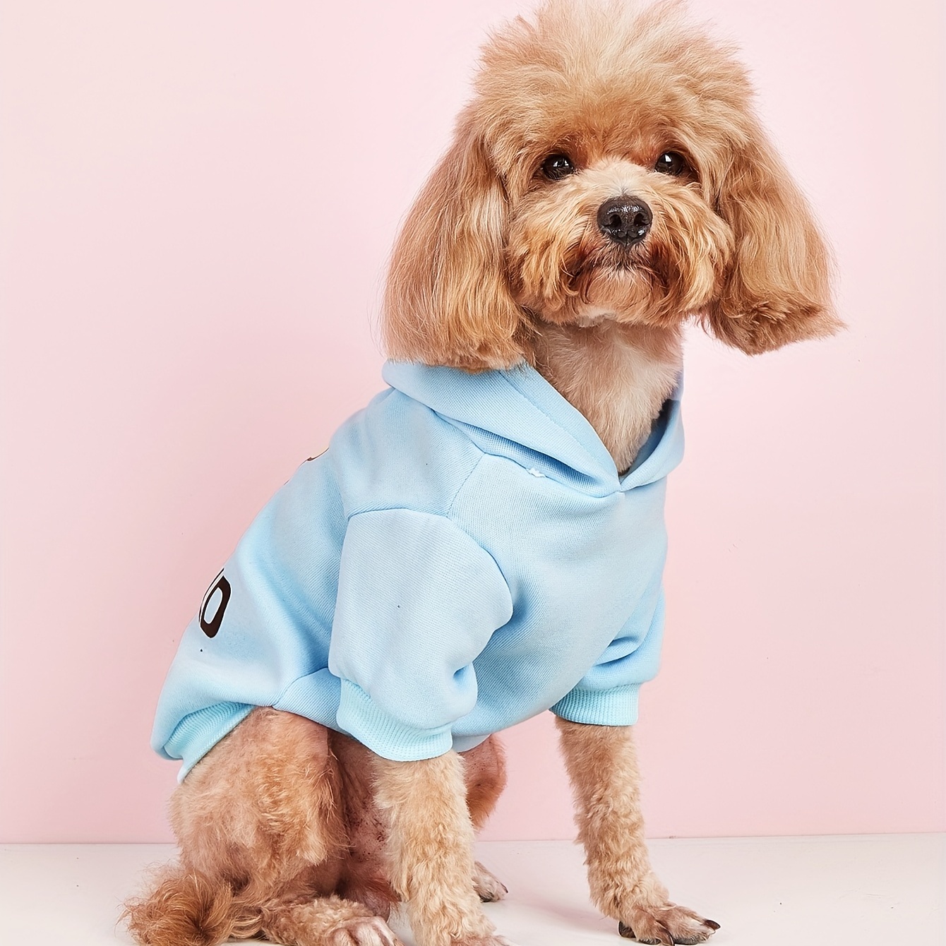 sudadera capucha estampado perro Temu Chile