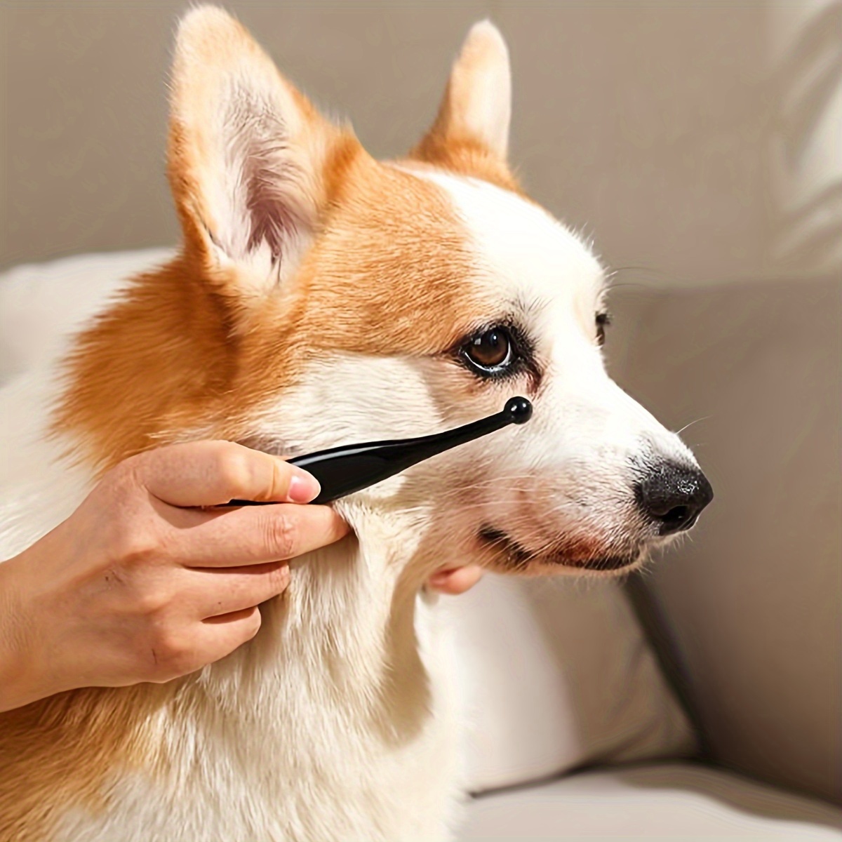 Dog shop eye comb