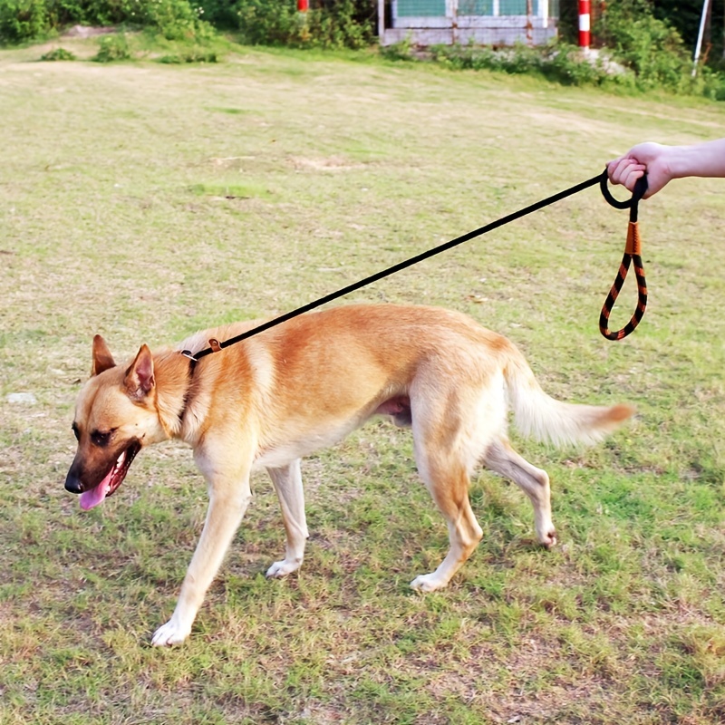 snap hook dog leash heavy duty