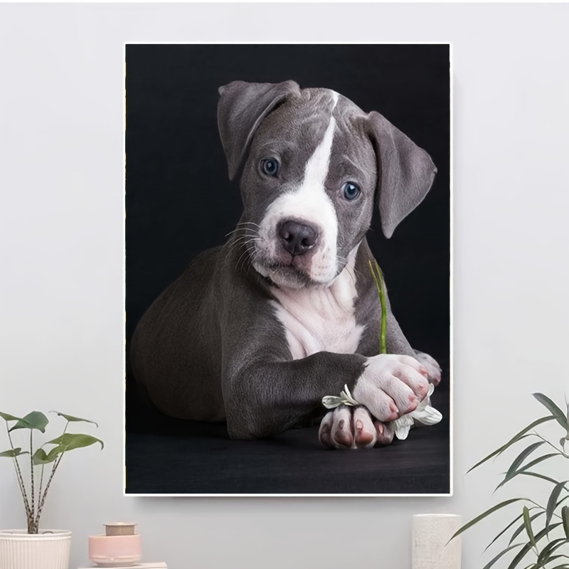 found a diamond painting that looks exactly like my dog! : r/diamondpainting