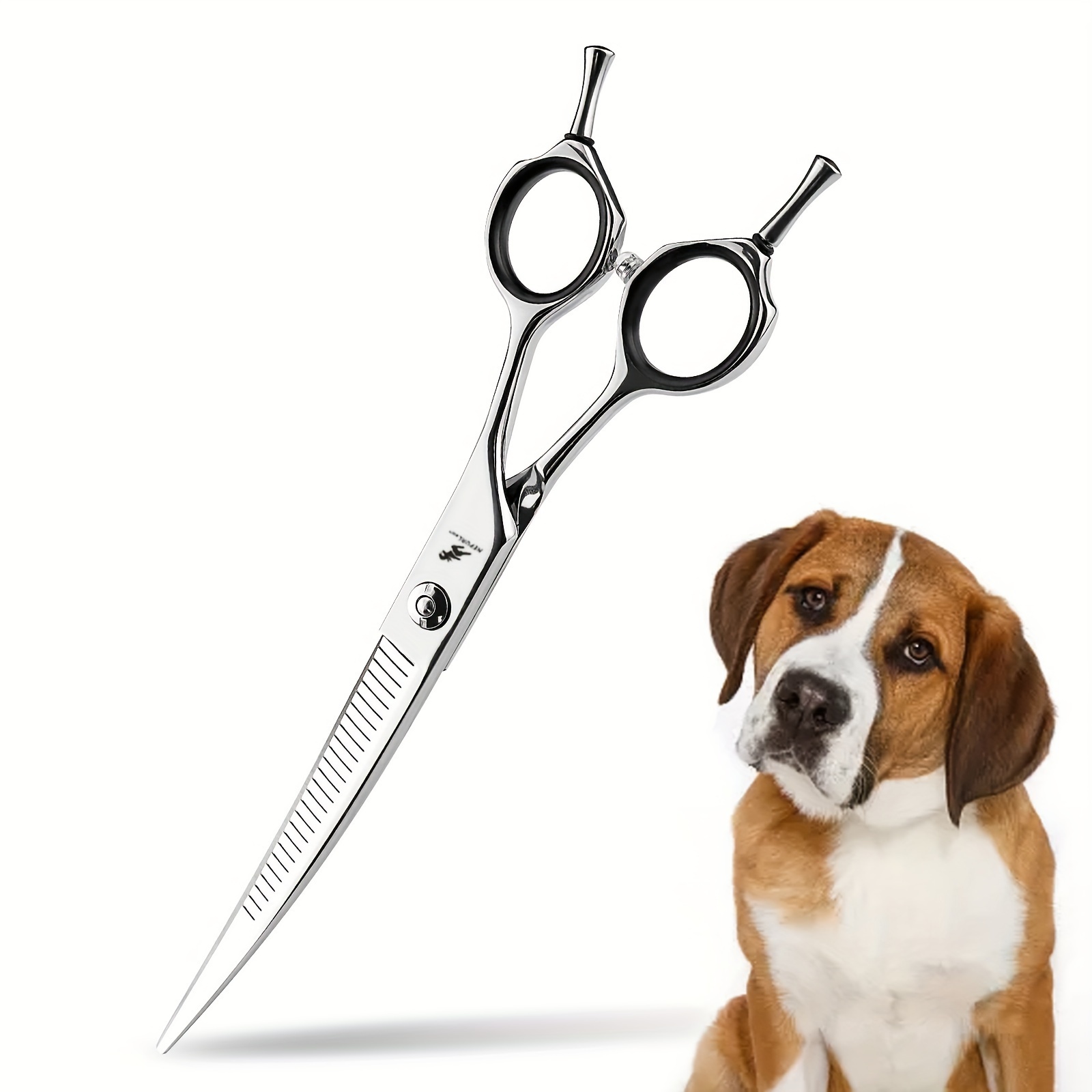 Pet Scissors Dog Scissors Professional Pet Cleaning Beauty - Temu