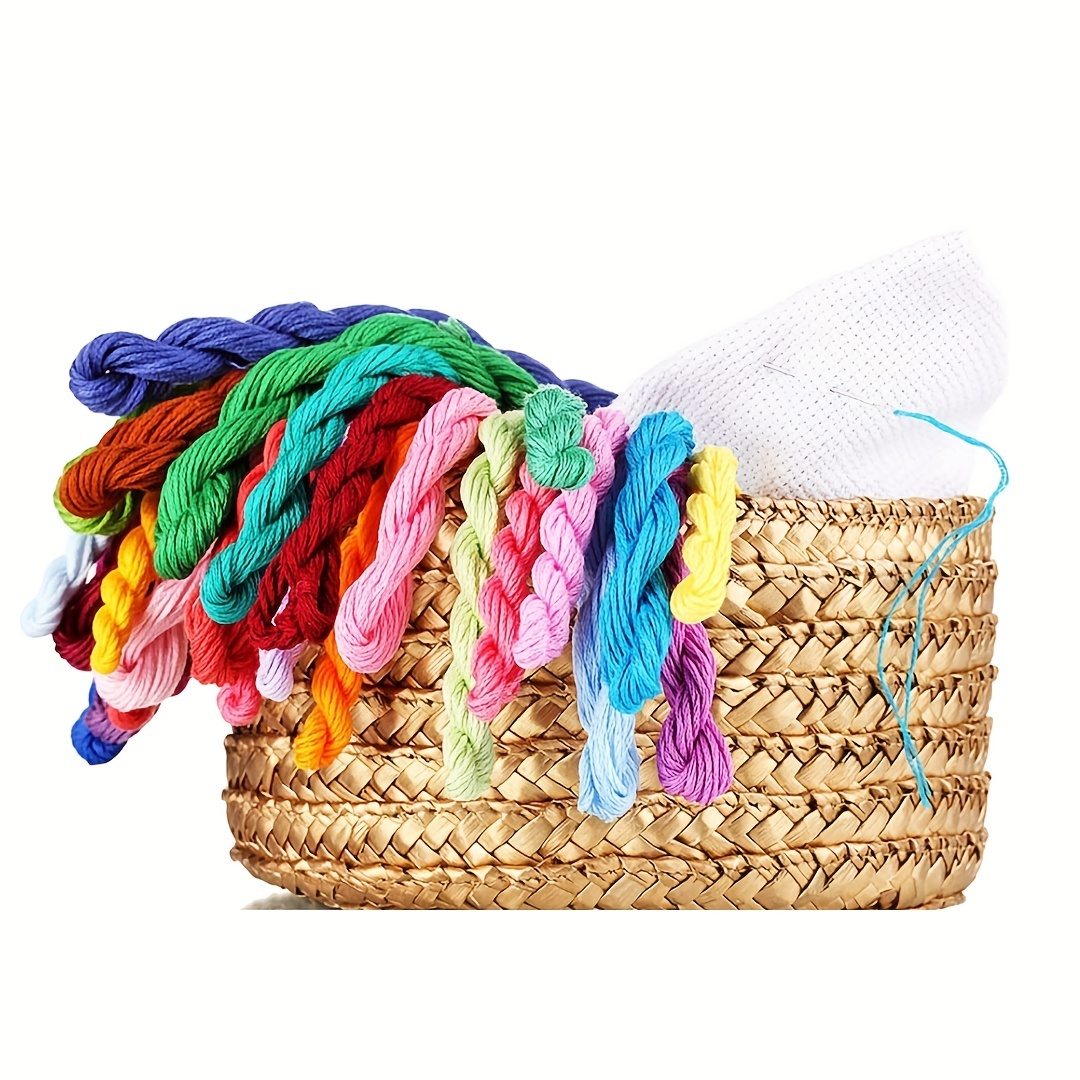 Friendship Bracelet String 50 Skeins Rainbow Color Embroidery Floss Cross  Stitch Embroidery Thread Cotton Friendship Bracelet Thread Floss Bracelet