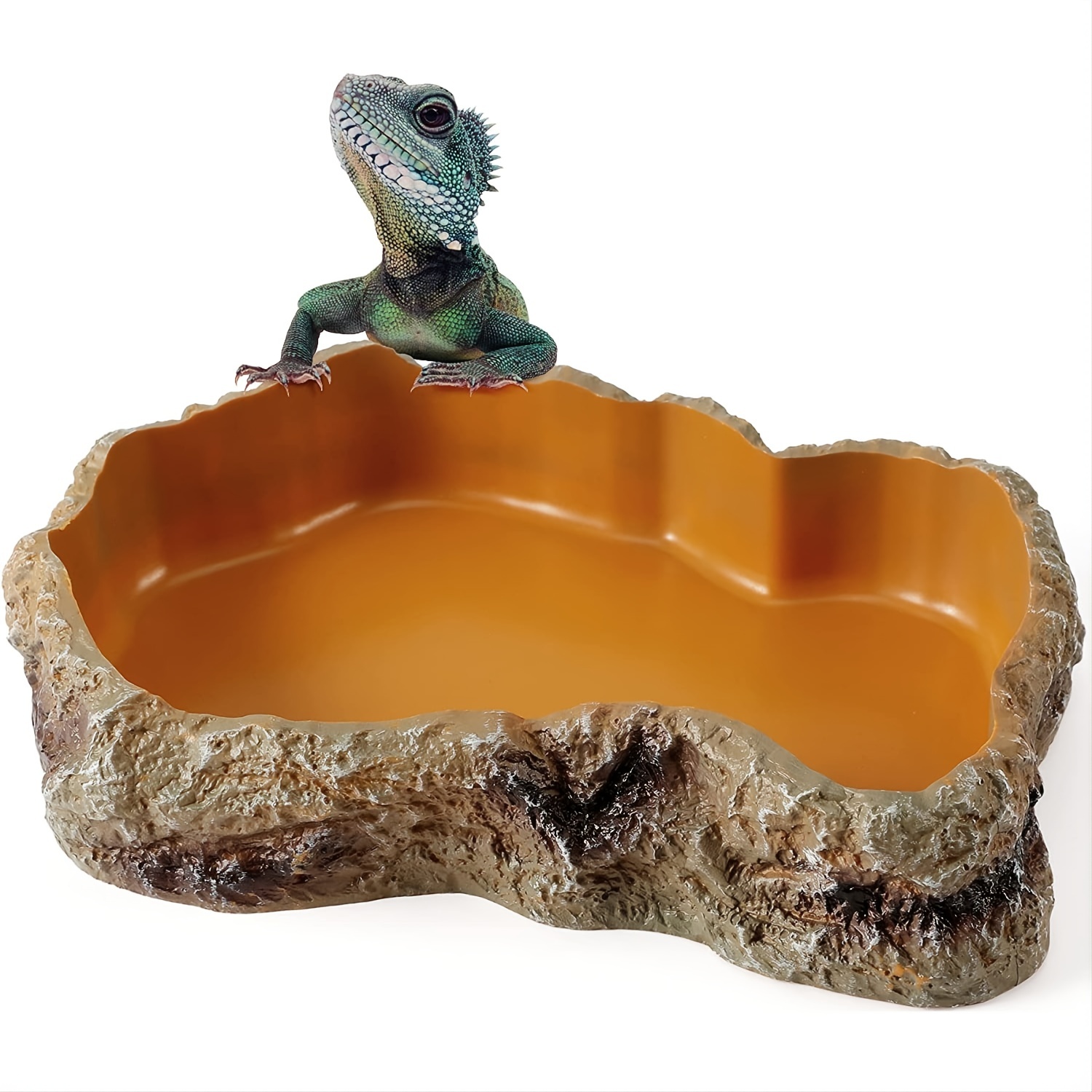 Reptile Feeding Bowls Feeder, Amphibian Feeding Bowl For Tortoise Lizard Frogs Free Shipping
