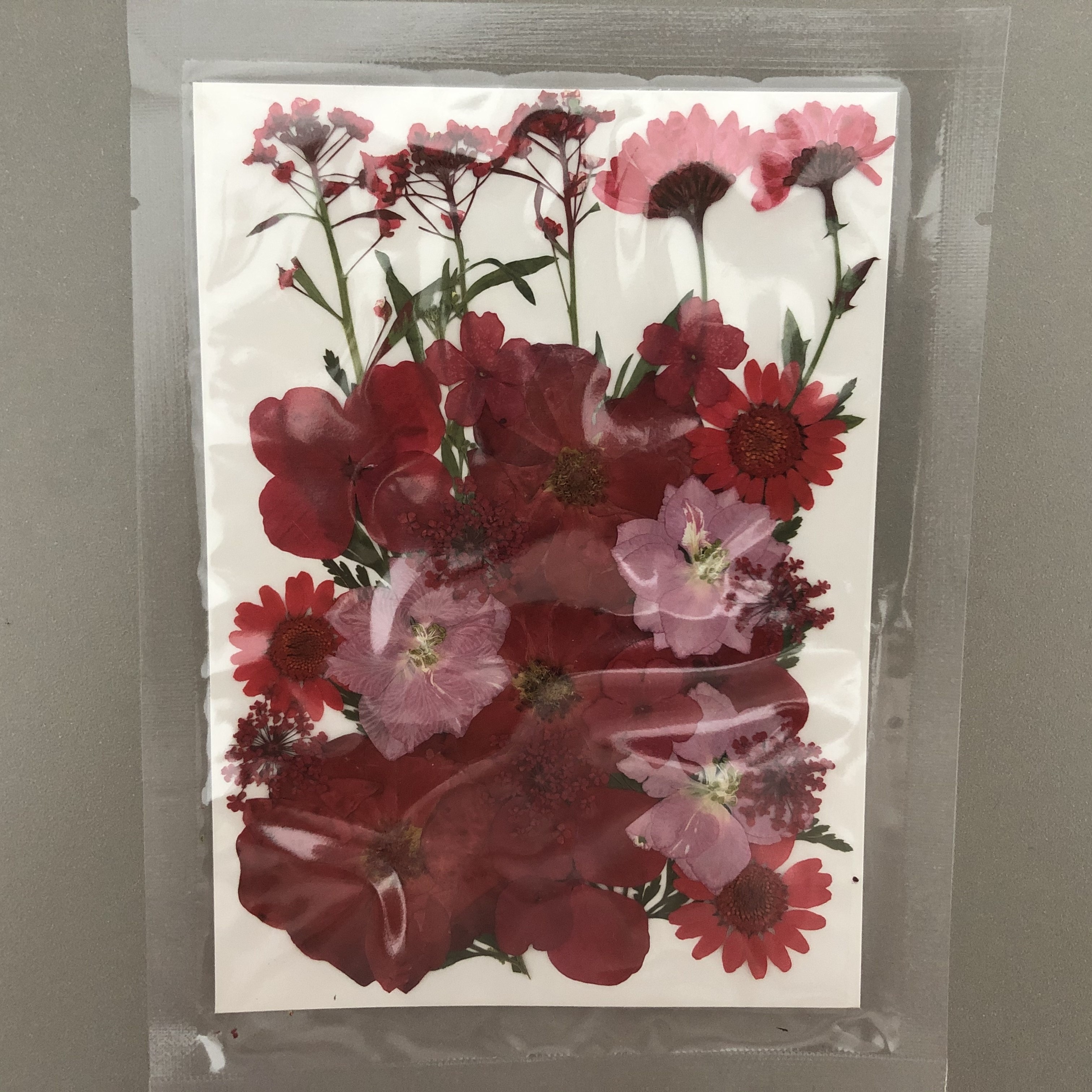 Create Unique Crafts With Diy Art Kit Real Pressed Flowers - Temu