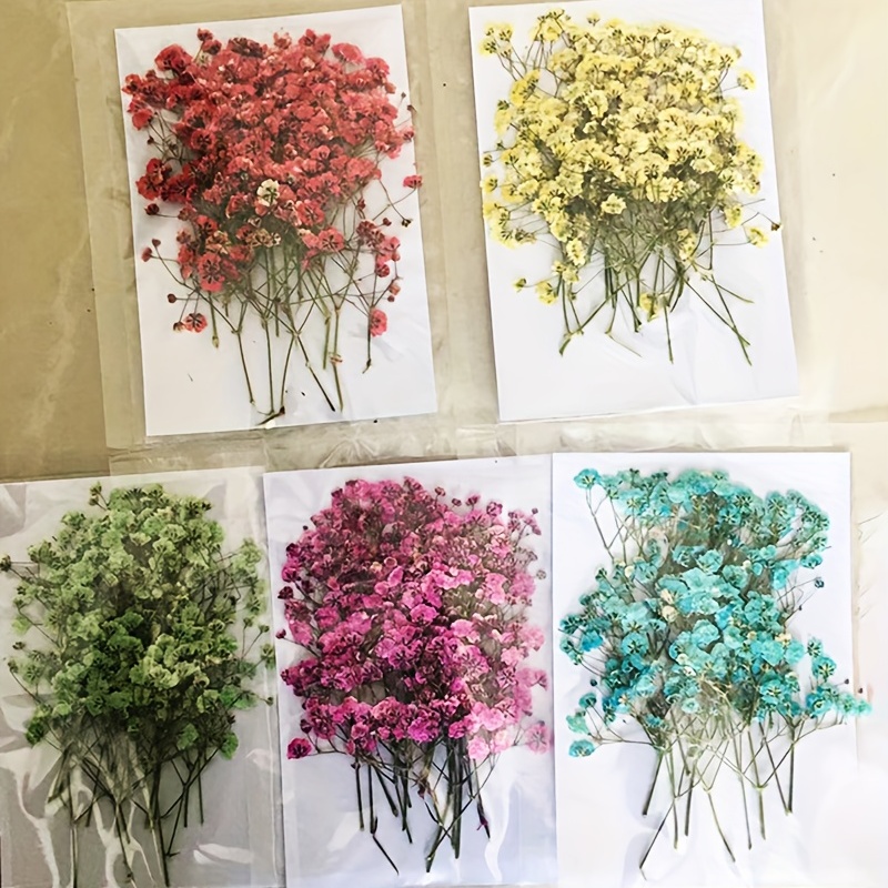 Bag Natural Gypsophila Dried Flowers Small Flowers Bouquet - Temu