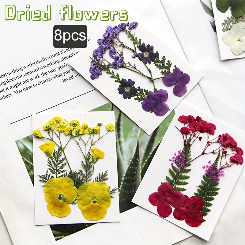 Dried Flower Set: Real Pressed Flowers Leaves For - Temu