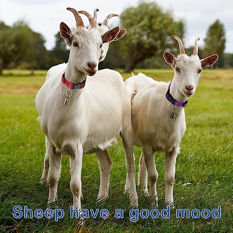 Magic Bell Goat Collar: Clear Pleasant Bell Let A Good Mood - Temu Canada