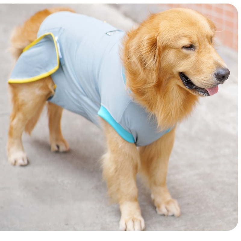Post surgery Care Dogs: Professional Shirt Protect Abdominal - Temu