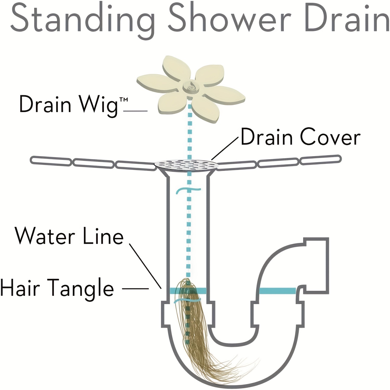 DrainWig Hair Catcher, Shower! 