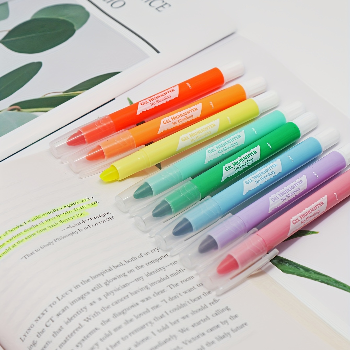 Aesthetic Highlighters And Gel Pens No Bleed, Morandi Color Bible