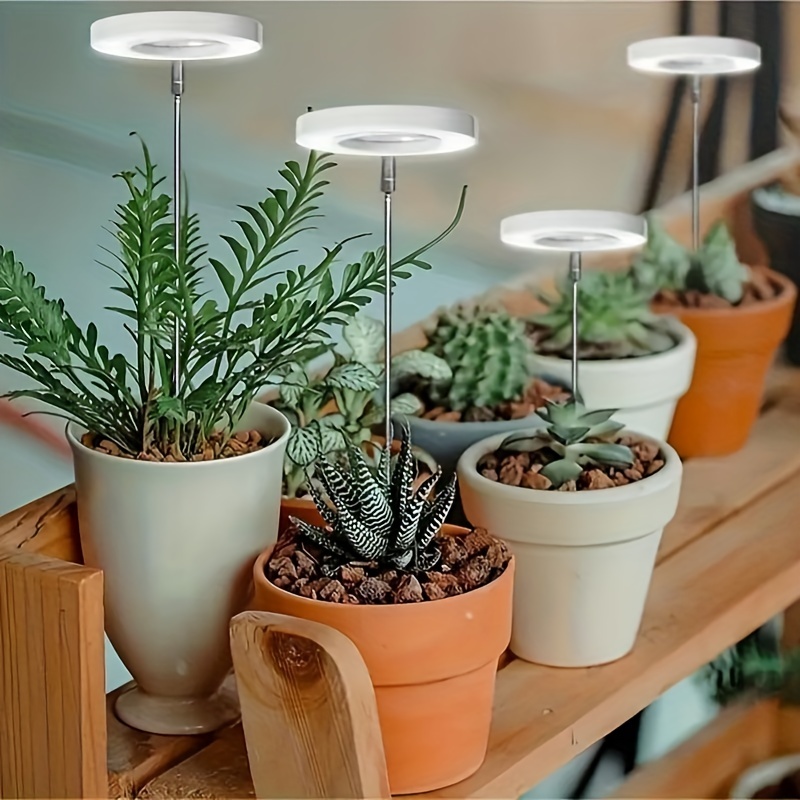 Lampe de table à intensité variable avec pince pour la culture de plantes  LED/8W/5V
