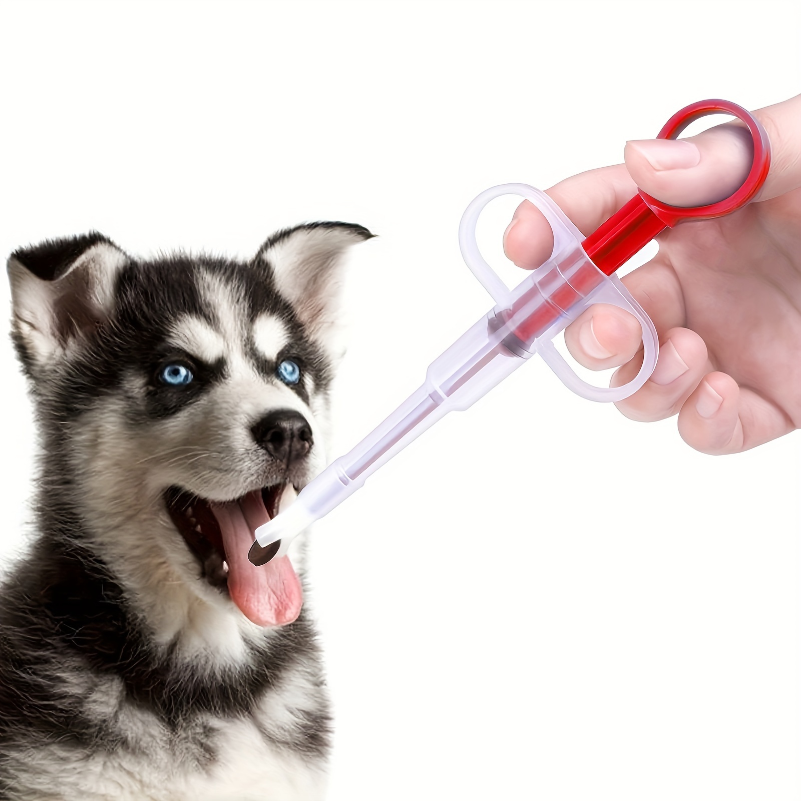 Dog 2025 feeding syringe