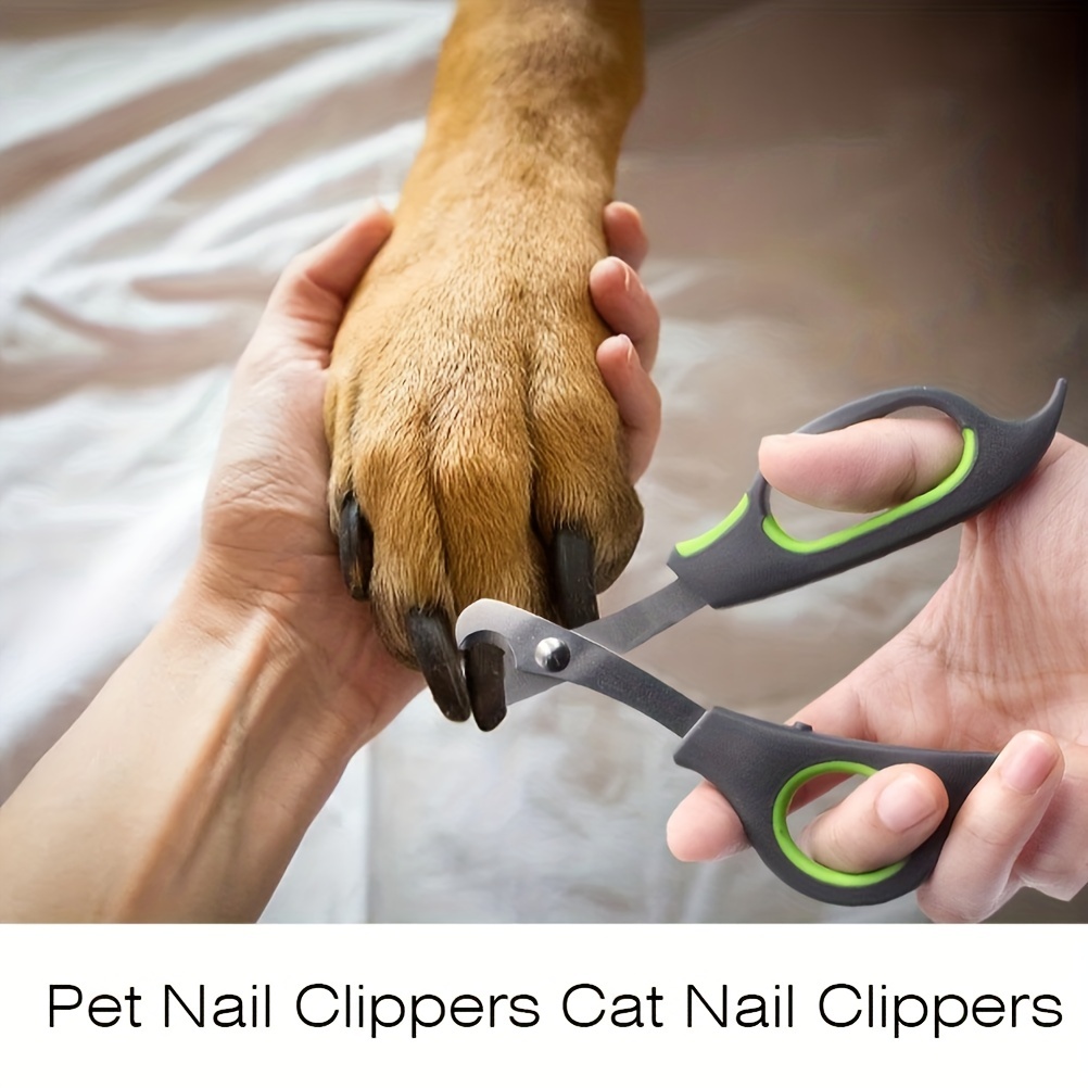 can you use scissors to cut dog nails