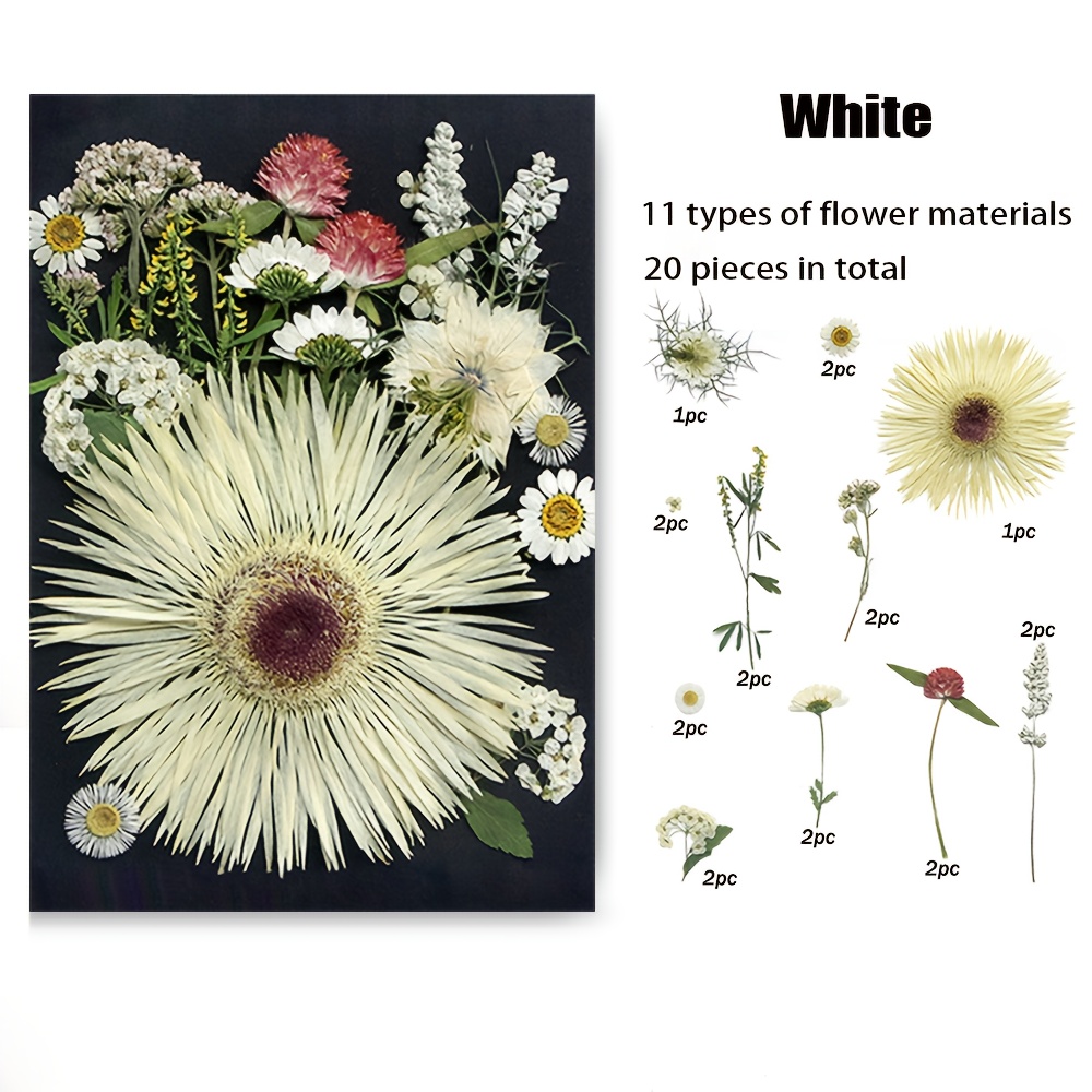 40 flores secas prensadas naturales de resina, flores secas para accesorios  de resina con pinzas, flores secas para álbumes de recortes, manualidades