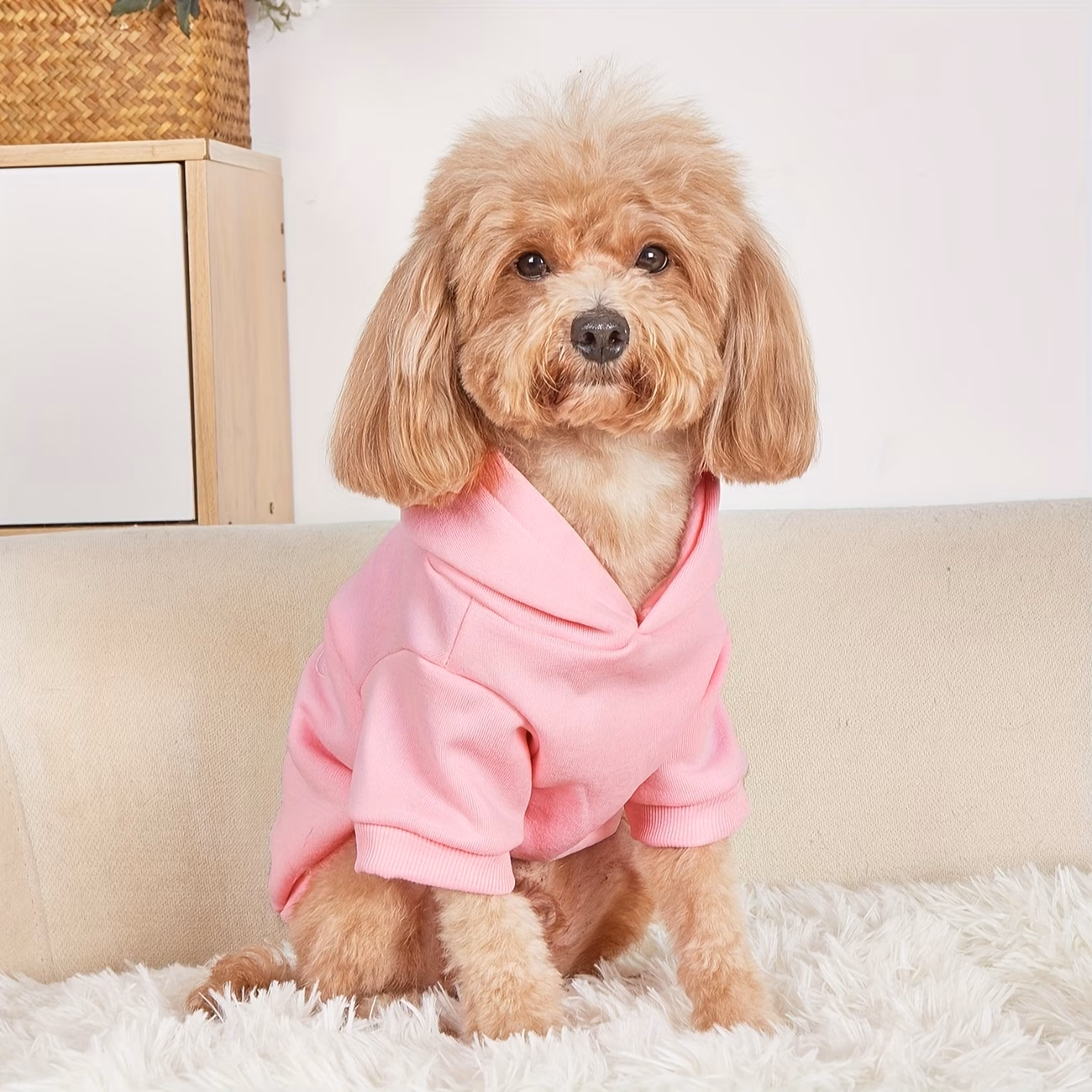 1pc pet teddy bear print hooded sweatshirt Product details 3