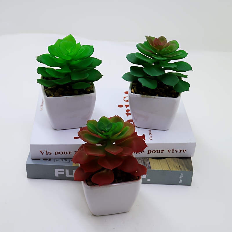 1 Mini Planta Suculenta Planta Simulación Verde Material Pe - Temu