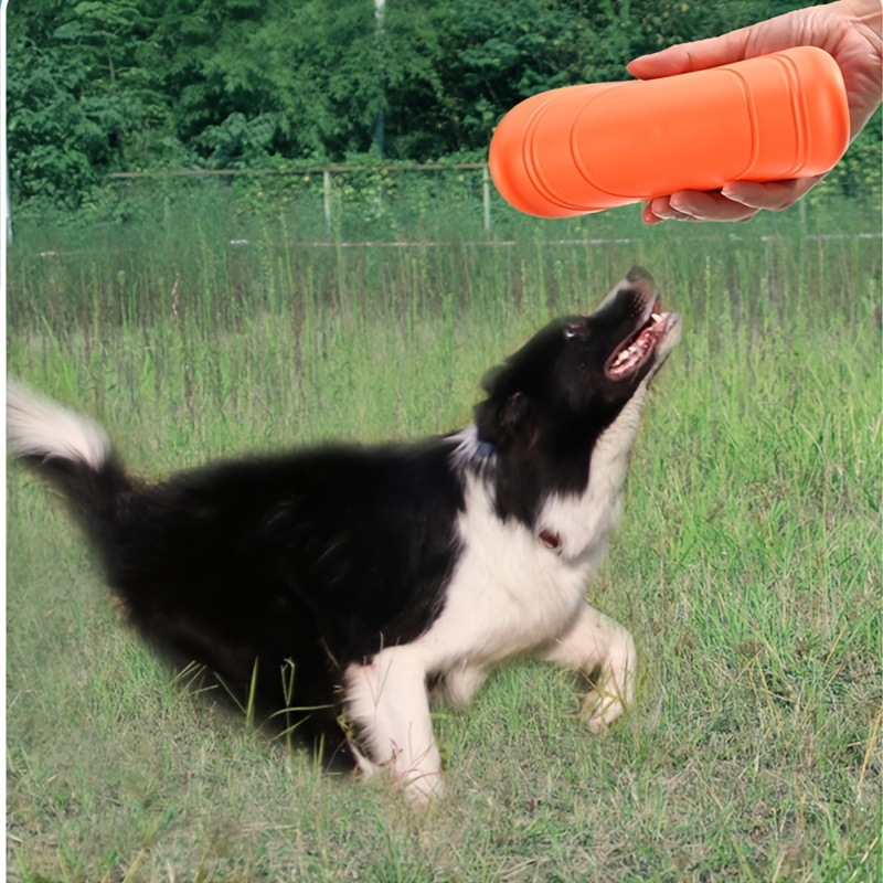 Silicone Dog Border Collie, Silicone Flying Saucer