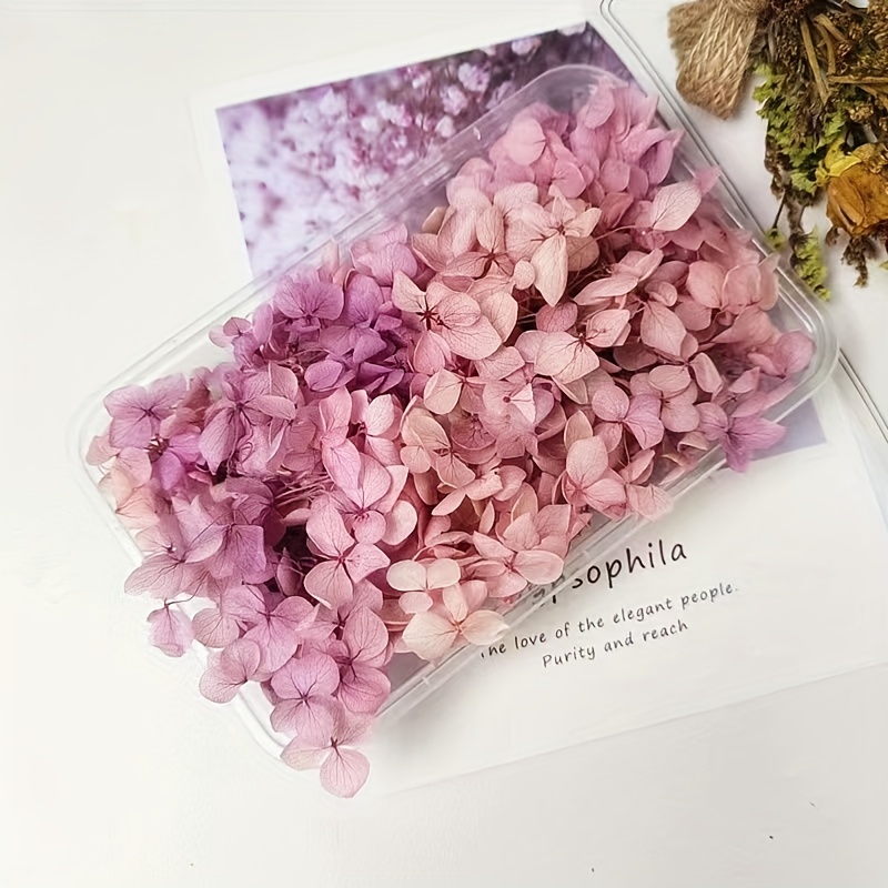 Beautiful Hydrangea Dried Flowers - Perfect For Diy Crafts