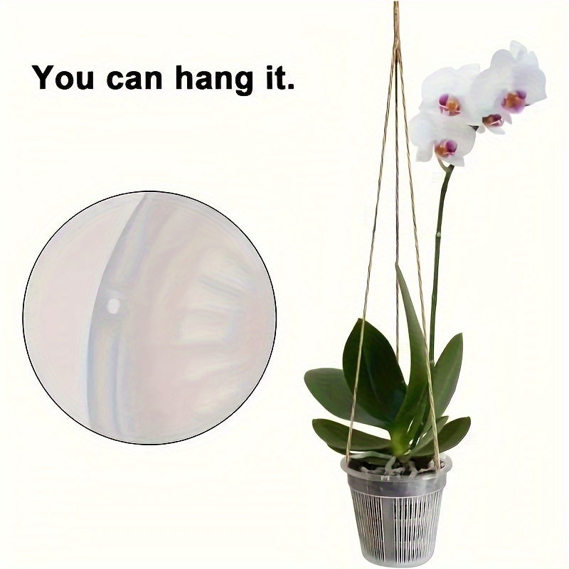 5 Pezzi Vaso Orchidee Vaso Speciale Controllo Radici - Temu