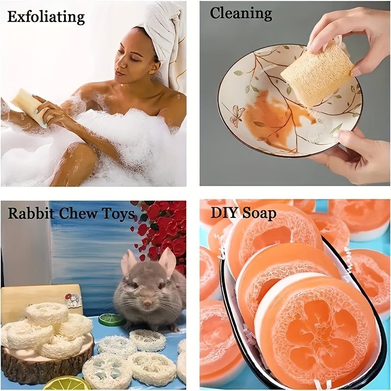 Natural Loofah Sponges Loofah Plant Fiber Kitchen Loofah Kitchen Cleaning Scouring Pad Biodegradable Dishes Dishwashing Sponge