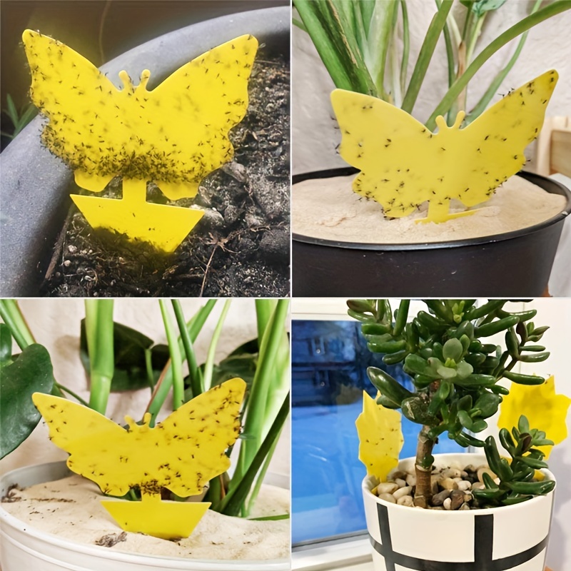 Plastic Yellow Sticky Fly Trap