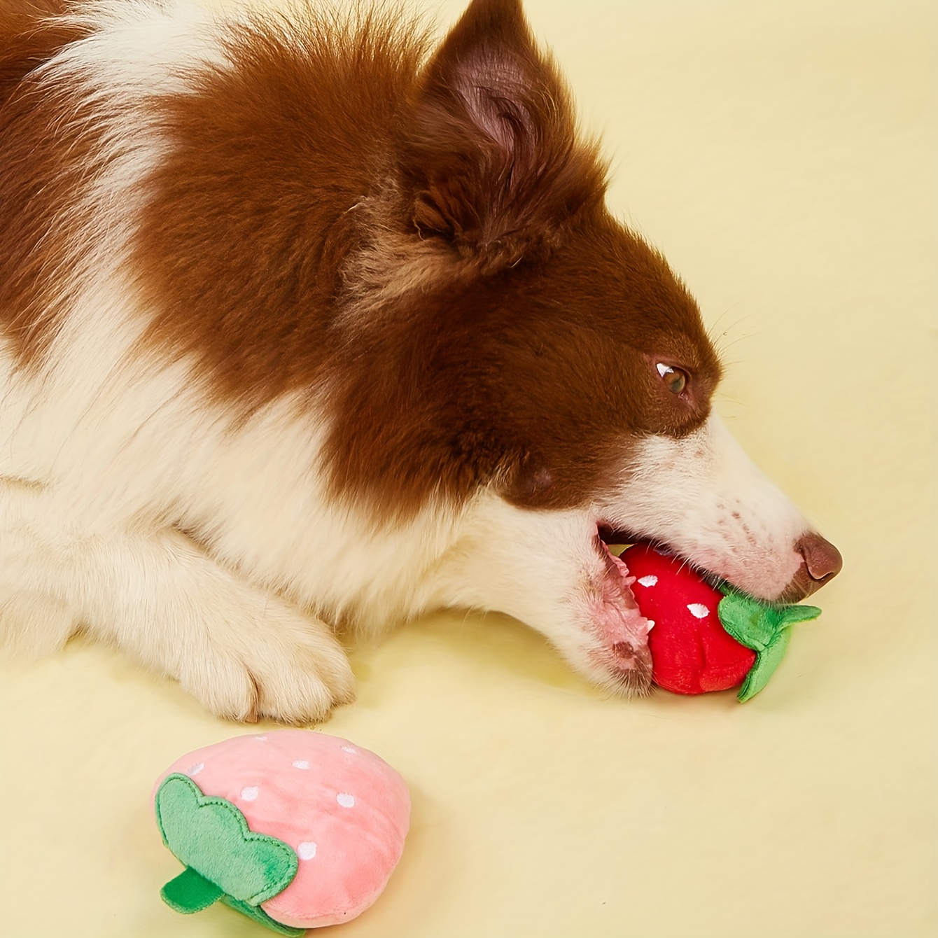 Squeaky strawberry dog clearance toy