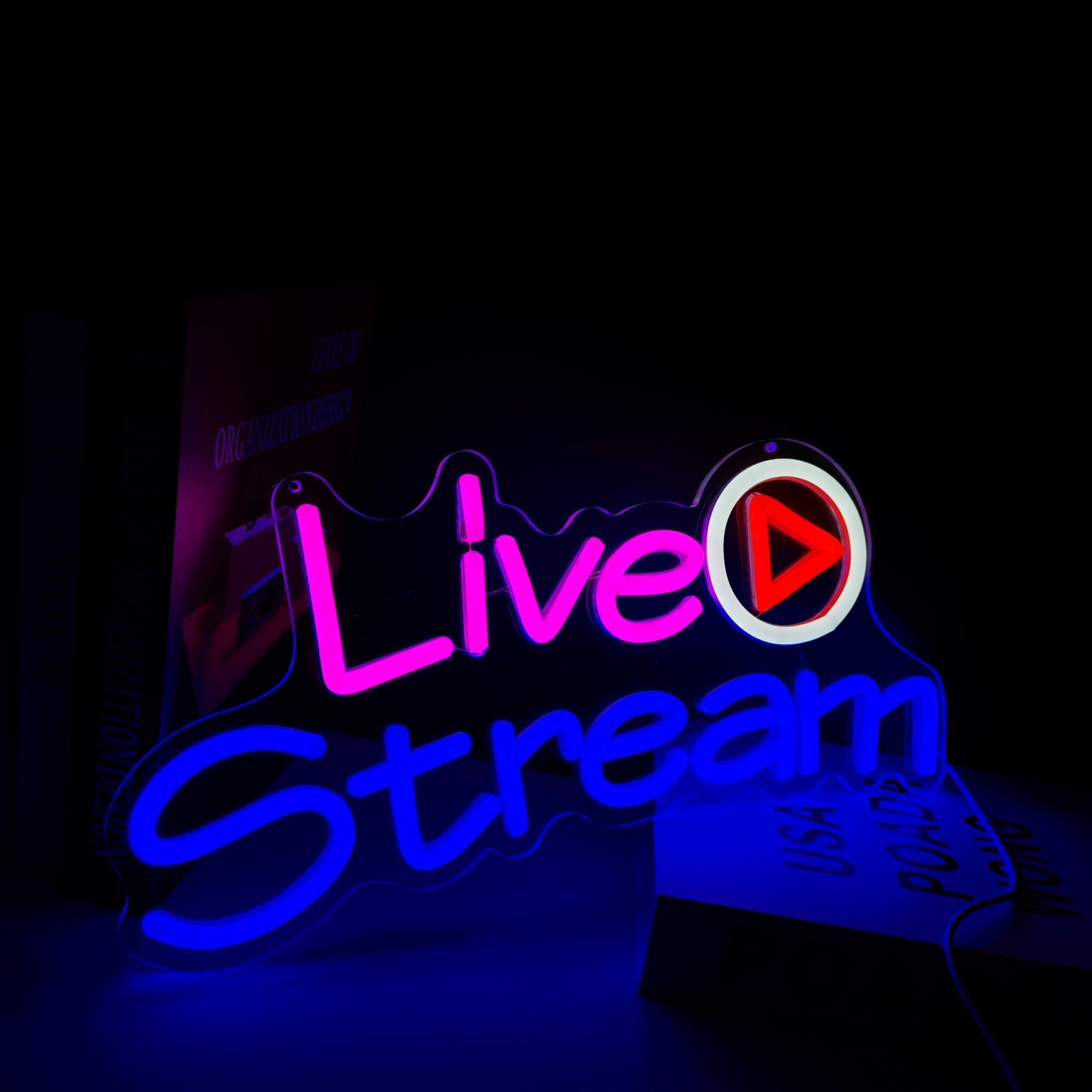 neon the streamer net worth