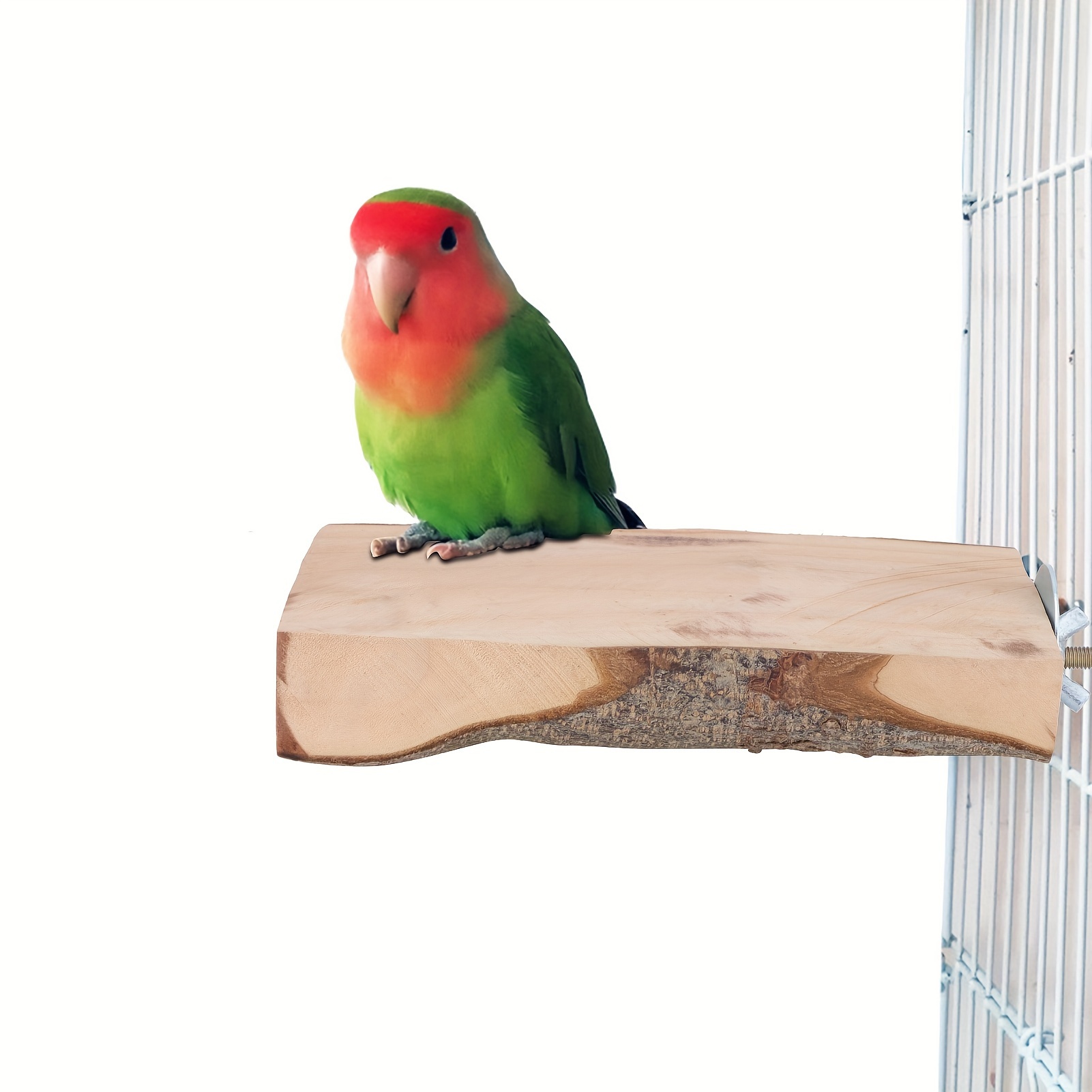 Bird Perch - Temu