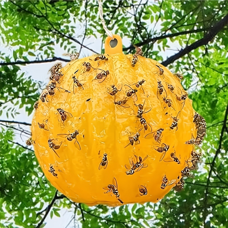 Sticky Traps Balls, Houseplant Sticky Bug Traps Capturing Fruit Flies,  Mosquitoes Other Flying Insects, Cute Ball Design, Sticky Fruit Fly Traps  For Indoor/outdoor/fields And Gardens - Temu