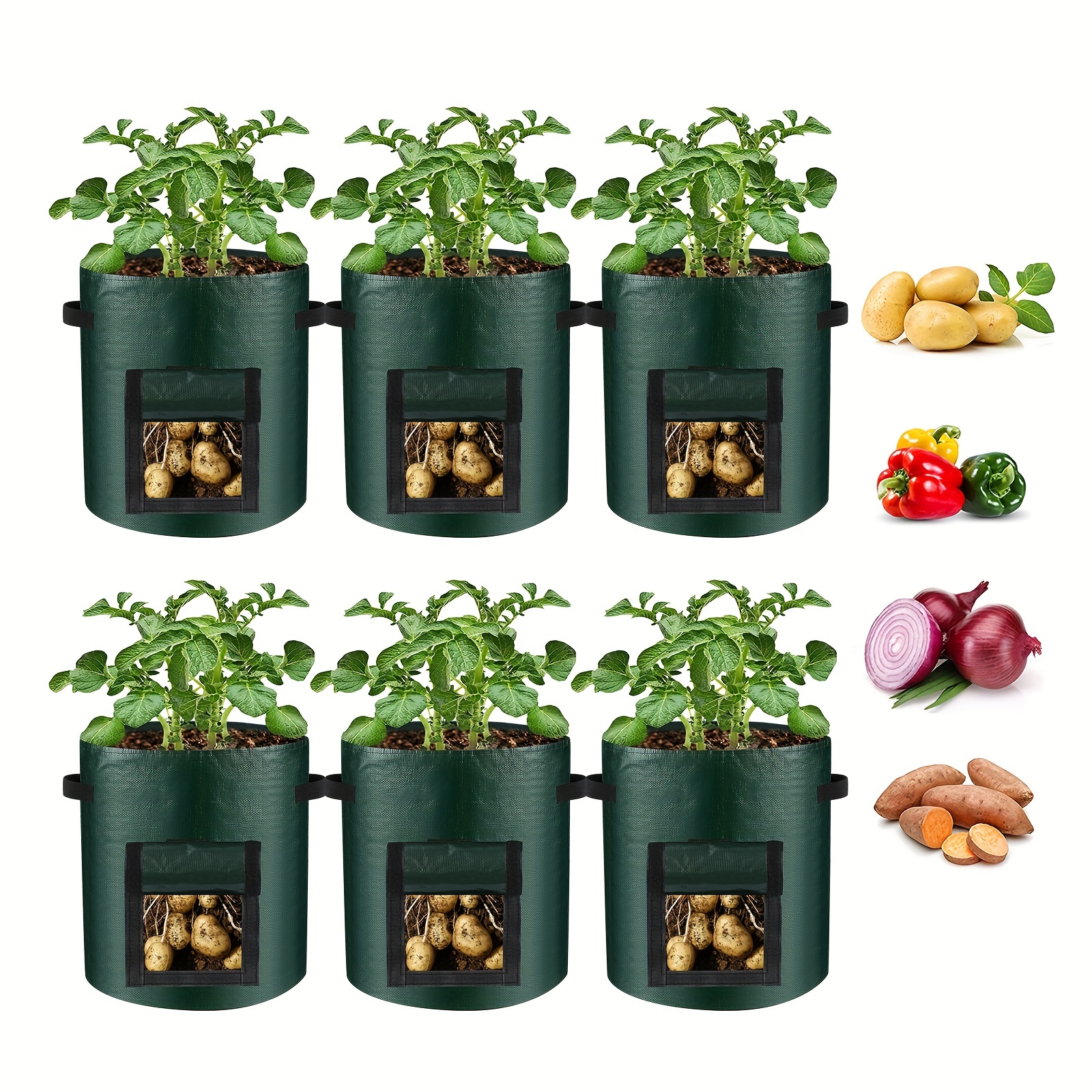 Potato Grow Bags, 7 Gallon/10 Gallon Planting Growing Bag With Flap And  Handles Plant Container Planter Pot For Potato Flowers Mushroom Tomato And  Vegetables, Green - Temu