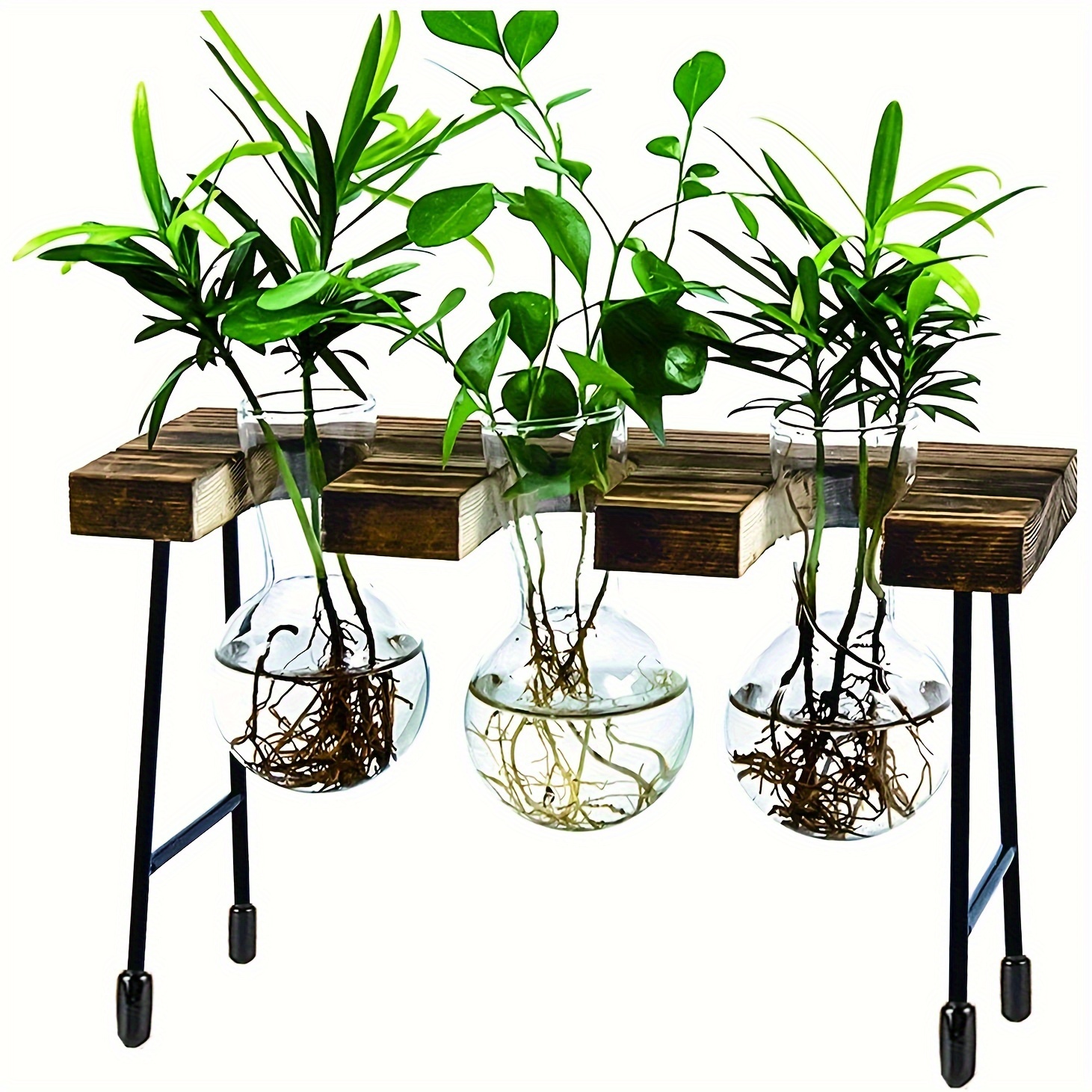 Stations de multiplication des plantes, Terrariums de plantes suspendus  muraux Plateau en verre Support en bois avec 3 Propag