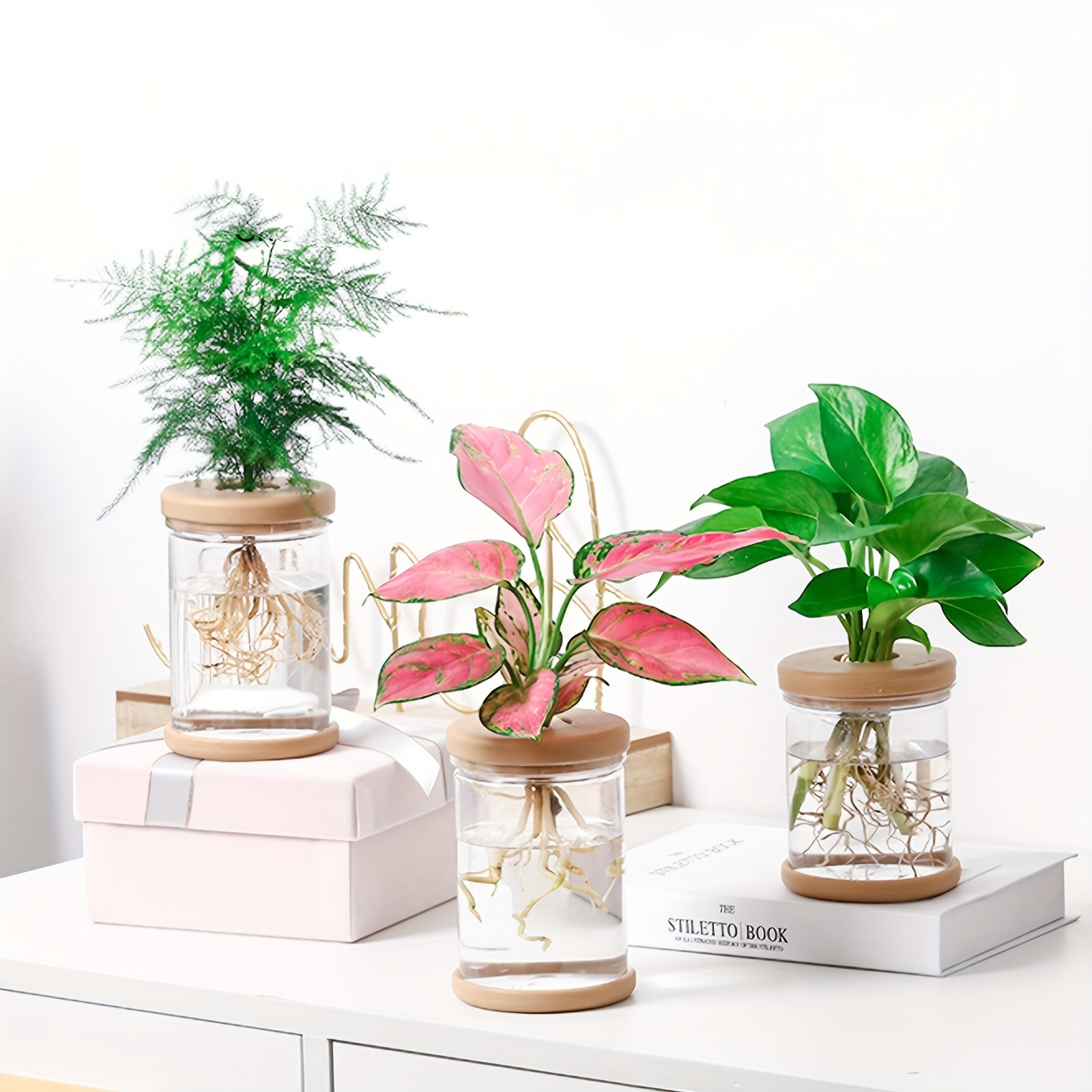 Pot de fleurs à arrosage automatique, plantes hydroponiques transparentes  avec réservoir d'eau, décoration de jardin