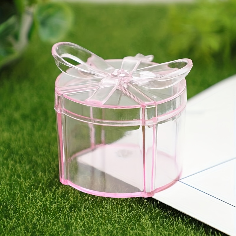 Simple Pink Plastic Transparent Storage Box