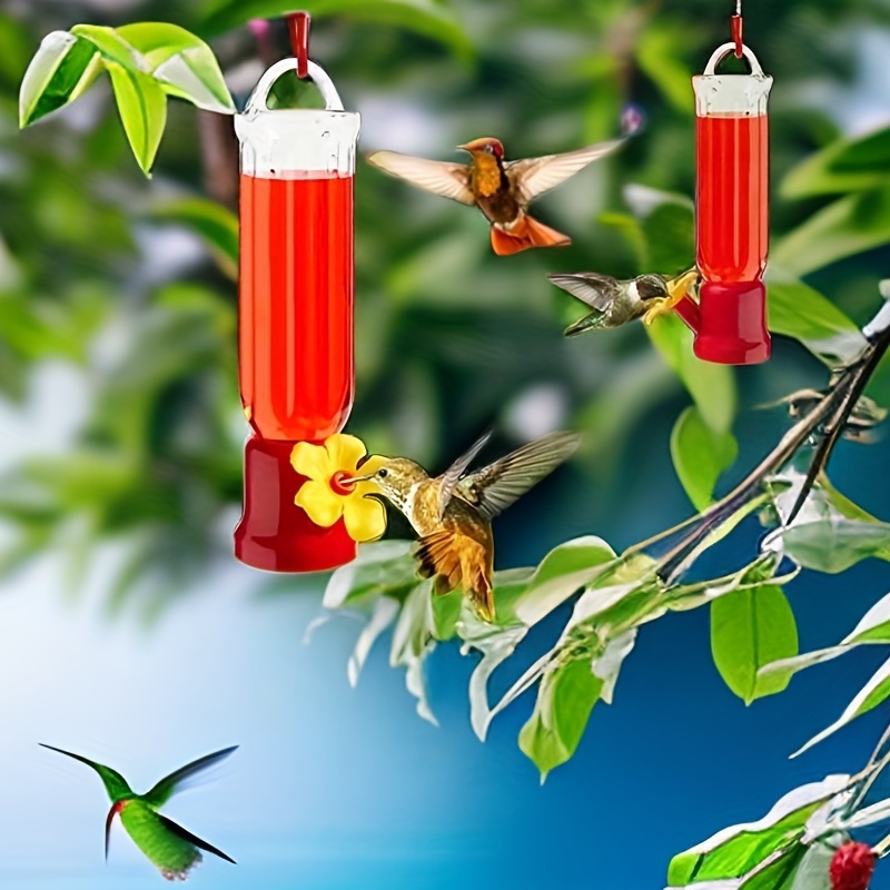 Mangeoire à colibris