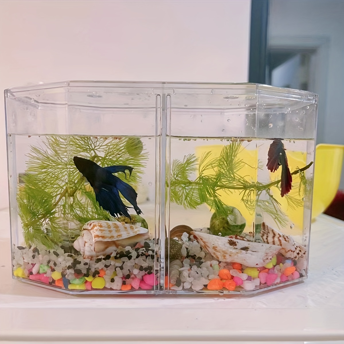 Small Betta Fish Tank Acrylic Aquarium Tank Landscaping, 53% OFF