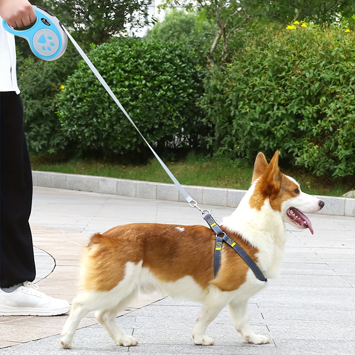 1個【自動】格納式犬用リード 調整可能 犬用リード お散歩 外出 旅行