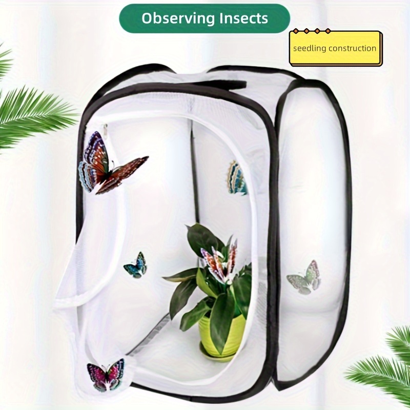 Insect Bug Box Kit Viewer Container Small Animal Magnifying - Temu