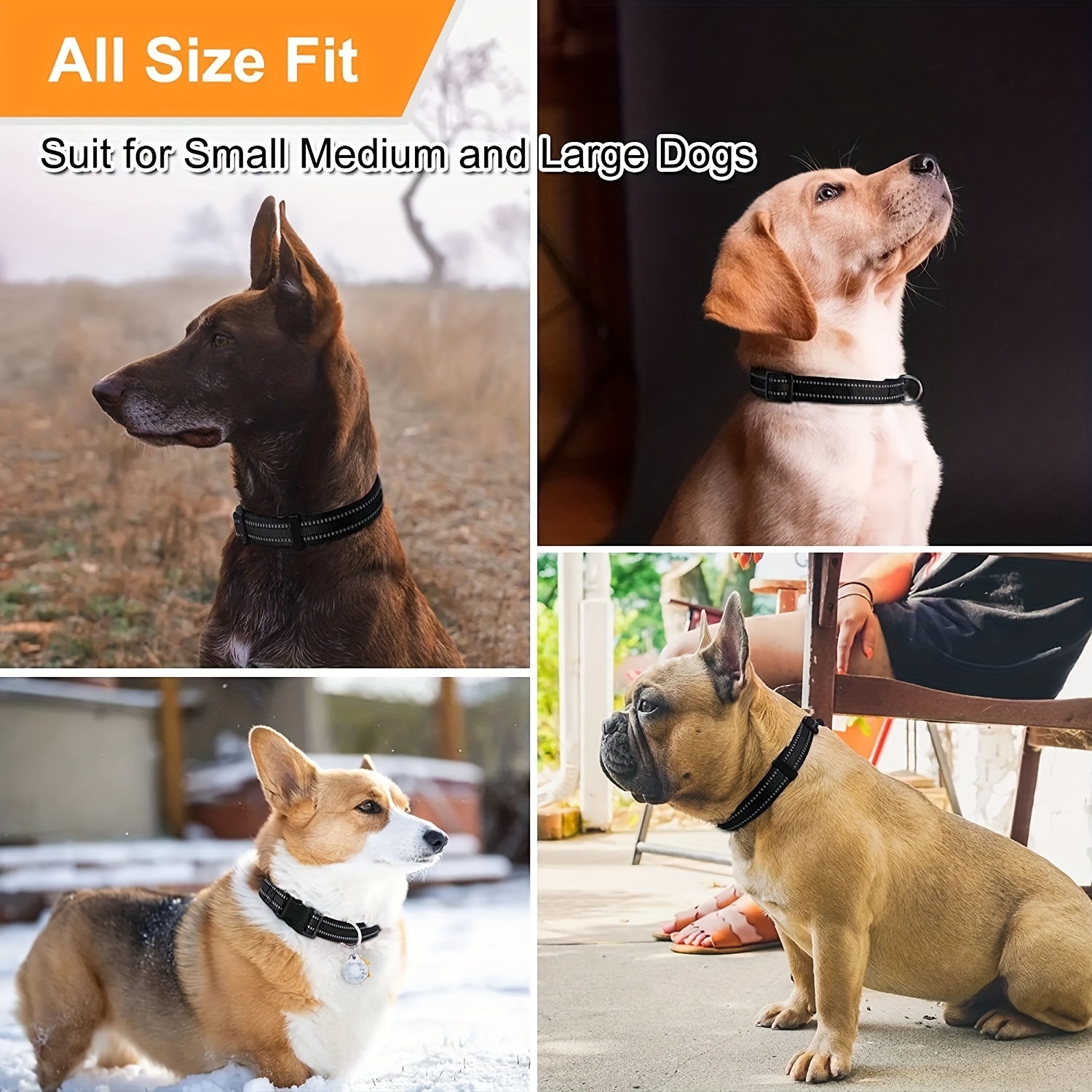 Adjustable Dog Collar & Leash Set for Small-Medium Dogs